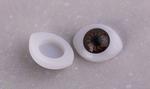Oczka z tęczówką 15x12mm