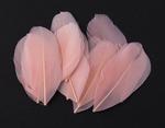 Gęsie Pióra 5-7cm / 20szt