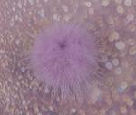 Pompon norek 40mm