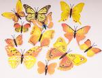 Zestaw 12 motyli z magnesem